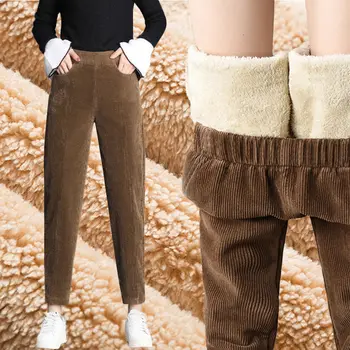 ASHEYWR Nou Slim Talie Mare Pantaloni Femei Toamna Iarna Îngroșa Pantaloni de Catifea Pocket Plus Catifea Casual Pantaloni Harem de sex Feminin