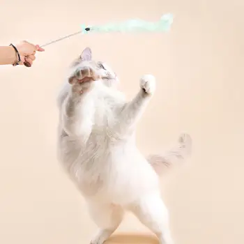 Interesant Stralucitoare Cat Teaser Stick Animale De Companie Jucărie Interactiv Decor Din Plastic Cat Teaser Stick Reutilizabile Consumabile Pentru Animale De Companie